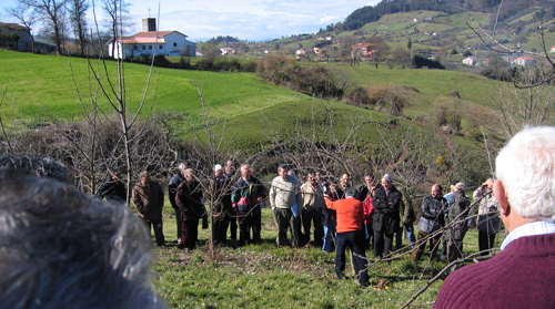 Participantes en una jornada de transferencia sobre cultivo del manzano