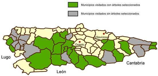 Figura 1. Mapa de Asturias con los concejos explorados y en los que se seleccionaron ejemplares de avellano en la prospección realizada en el periodo 2003-2005.(© J. J. Ferreira)