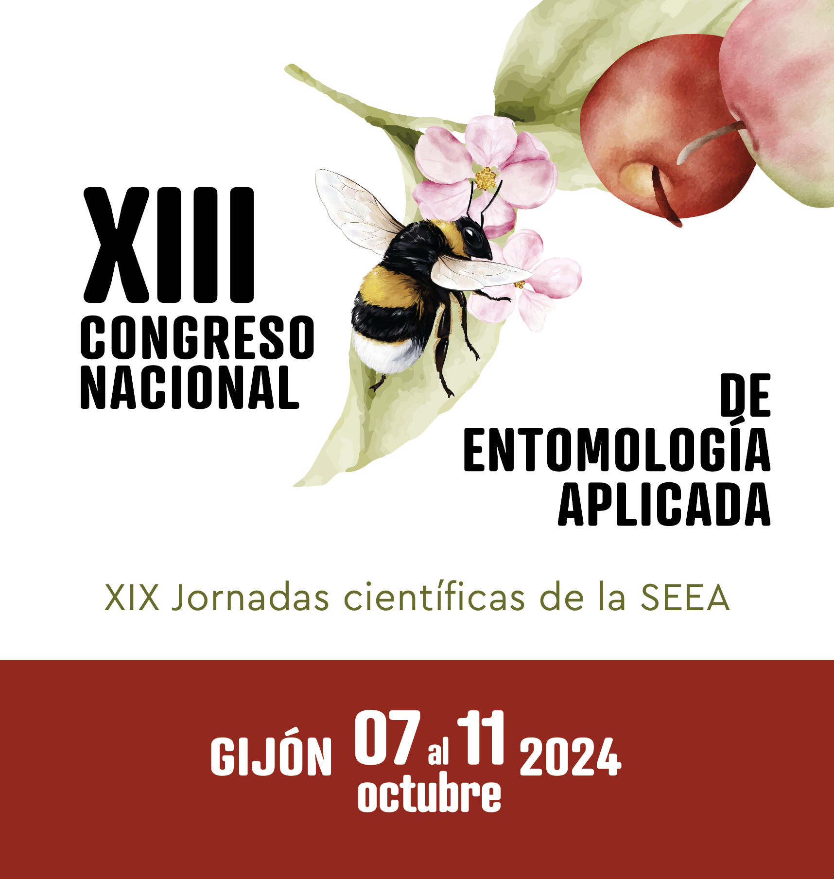 Foto El SERIDA, SEEA y la Universidad de Oviedo organizan el XIII Congreso Nacional de Entomología Aplicada. Gijón, 7-11 octubre 2024